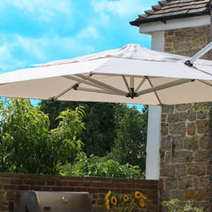 Domestic Umbrellas